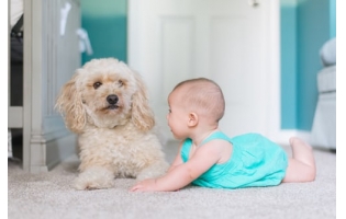 5 причин завести собаку для ребенка