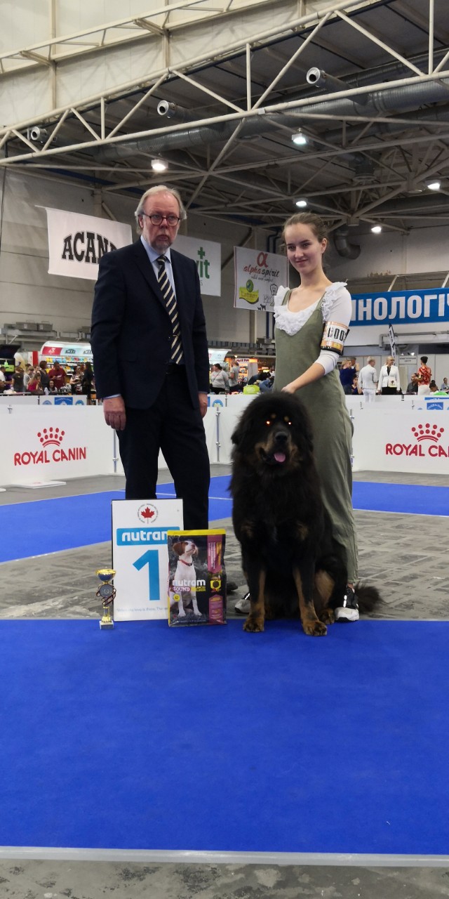 Международные выставки собак 3*CACIB 2019 КИЕВ