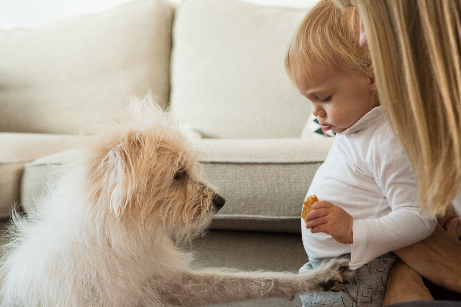 5 причин завести собаку для ребенка